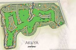 akoya1